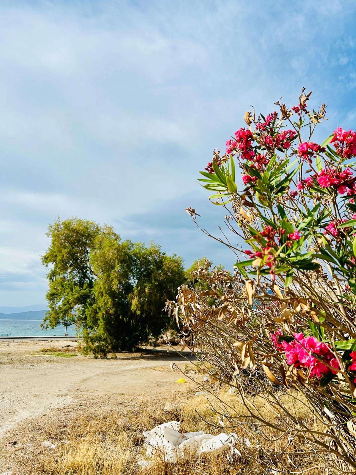 Marina'S Seacret Apartment Corinth Экстерьер фото